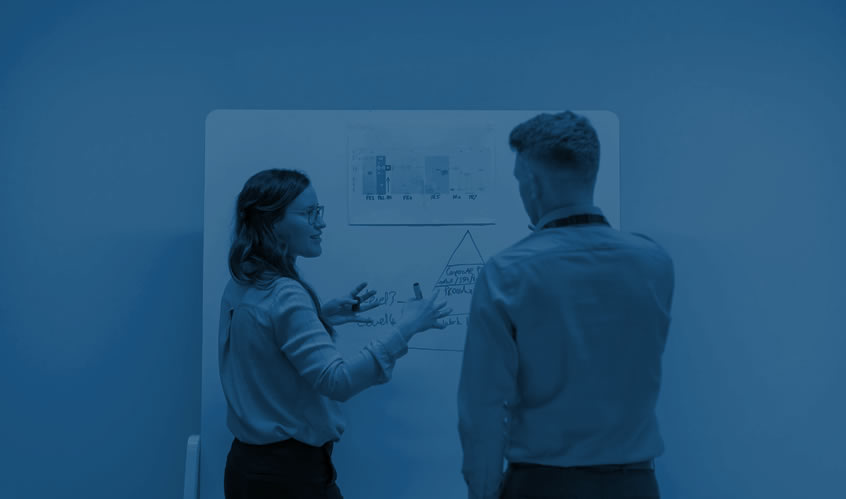 Standards of Quality Consultative Approach